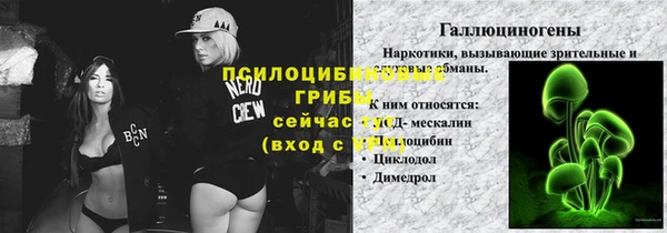 гашик Алексеевка