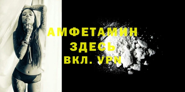 гашик Алексеевка