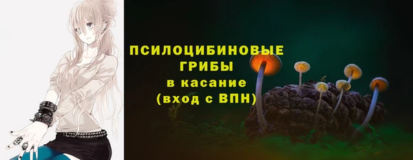 гашик Алексеевка