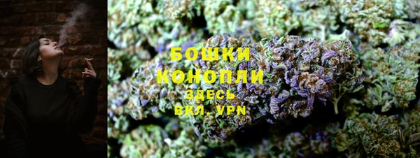 прущие грибы Армянск