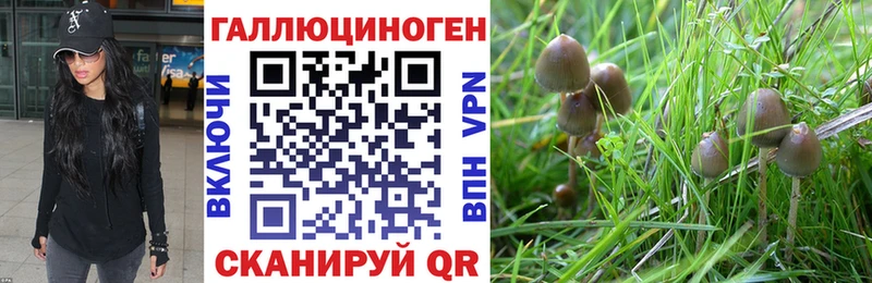 Галлюциногенные грибы Psilocybe  мега   Куйбышев 