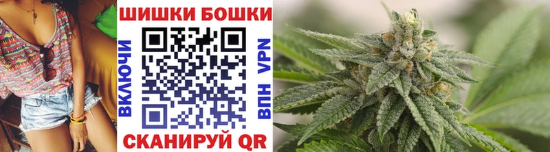 Конопля гибрид Куйбышев